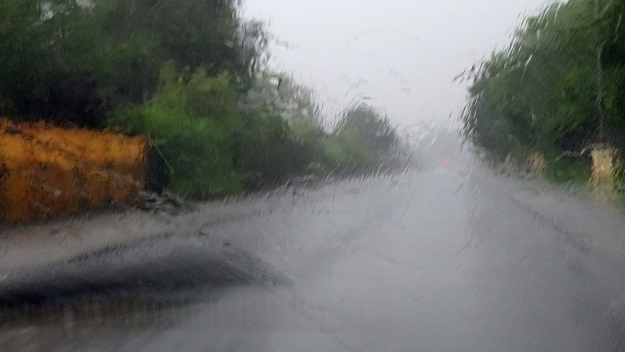rain-555831_1280